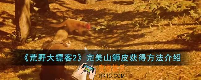 荒野大镖客2完美山狮皮怎么获得