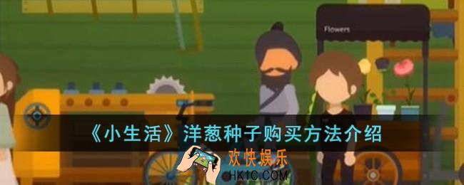 小生活洋葱种子怎么购买