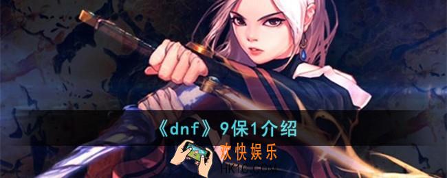 dnf9保1是什么