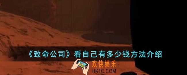 致命公司怎么看自己有多少钱