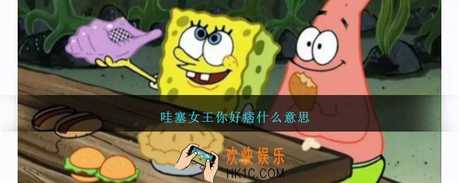 哇塞女王你好痞什么意思/梗