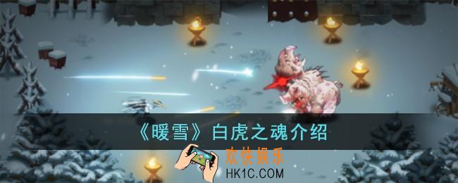 暖雪圣物白虎之魂怎么样