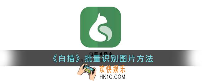 白描app怎么批量识别