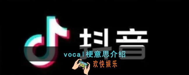 vocal是什么意思