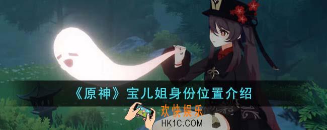 原神宝儿姐身份位置在哪里