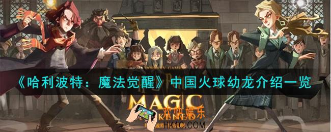 哈利波特魔法觉醒中国火球幼龙怎么样