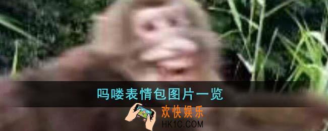 吗喽表情包图片有哪些
