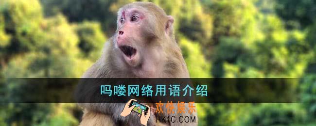 吗喽网络用语是什么意思
