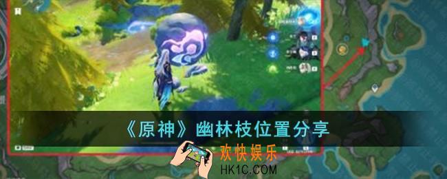 原神幽林枝在哪儿