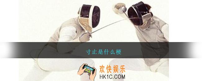 寸止是什么梗