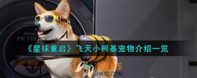 星球重启飞天小柯基宠物怎么样