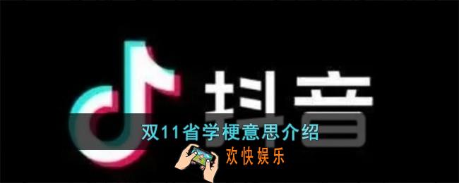 双11省学梗是什么意思