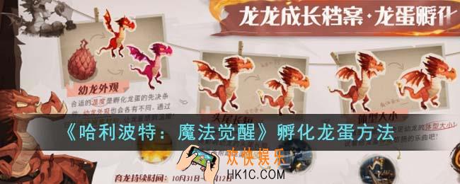 哈利波特魔法觉醒怎么孵化龙蛋
