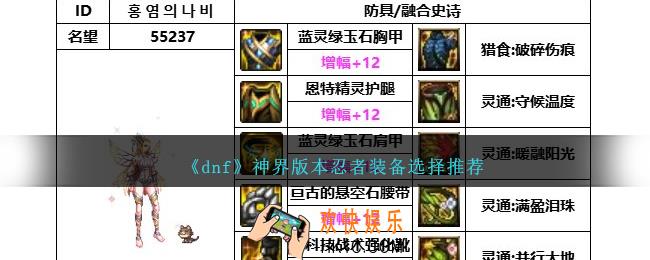 DNF神界版本忍者带什么装备
