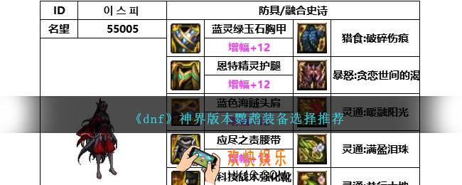 DNF神界版本鹦鹉带什么装备
