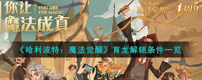 哈利波特魔法觉醒育龙怎么解锁