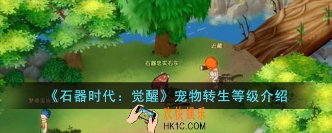 石器时代觉醒宠物转生等级是多少