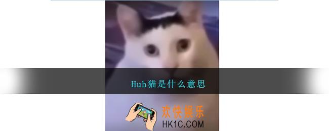 Huh猫是什么意思
