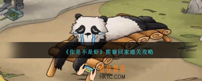你是不是虾熊猫回家怎么过