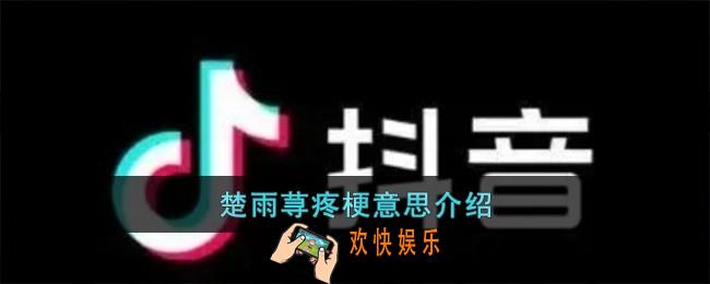 楚雨荨疼是什么意思
