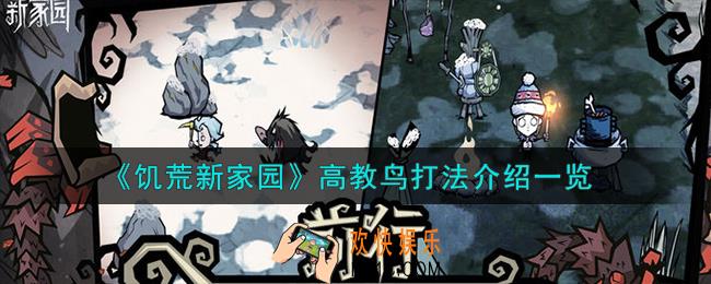 饥荒新家园高教鸟怎么打