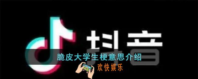 脆皮大学生梗是什么意思