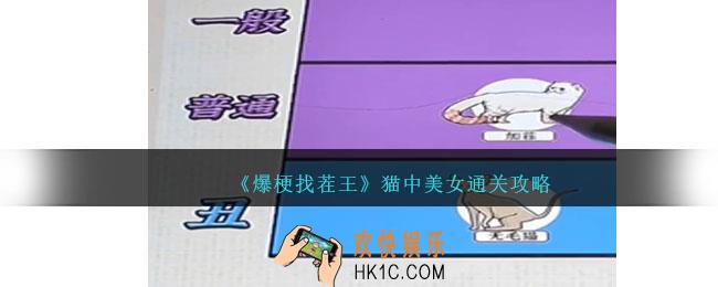 爆梗找茬王猫中美女通关攻略