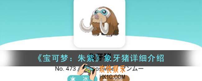 宝可梦朱紫象牙猪怎么样