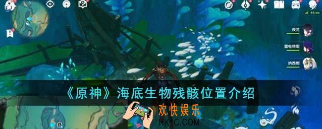 原神海底生物残骸位置在哪里