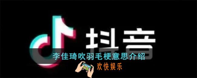 李佳琦吹羽毛梗是什么意思