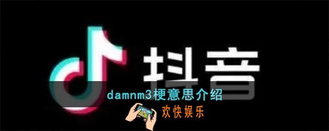damnm3梗是什么意思