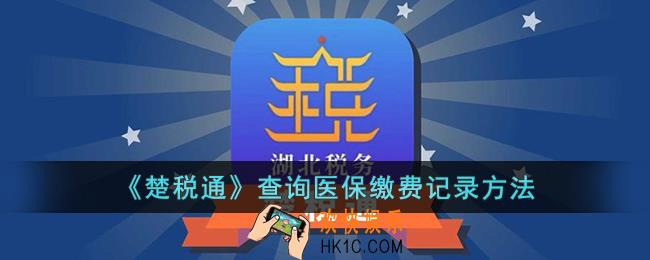 楚税通怎么查询医保缴费记录