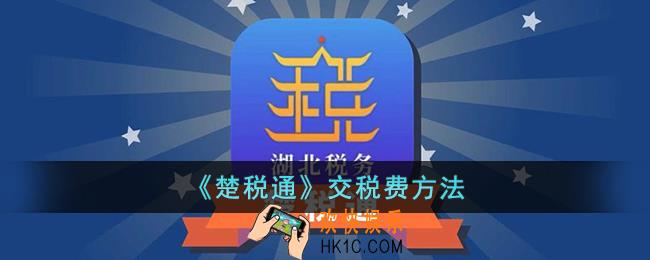 楚税通怎么交税费
