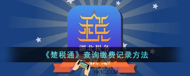 楚税通怎么查缴费记录