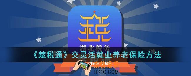 楚税通怎么交灵活就业社保