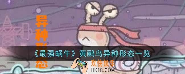 最强蜗牛黄鹂鸟异种形态什么样