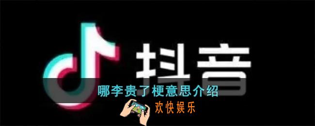 哪李贵了梗是什么意思