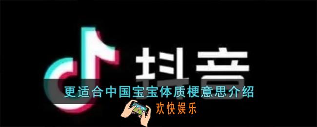 更适合中国宝宝体质梗是什么意思