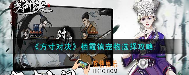 方寸对决栖霞镇宠物怎么选择