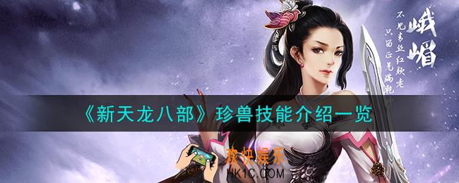 新天龙八部珍兽技能怎么样