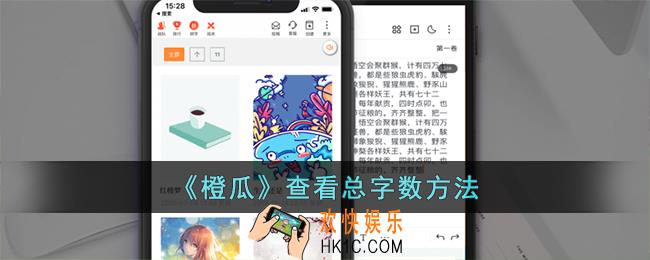 橙瓜码字怎么看字数