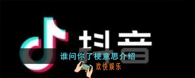 谁问你了梗是什么意思