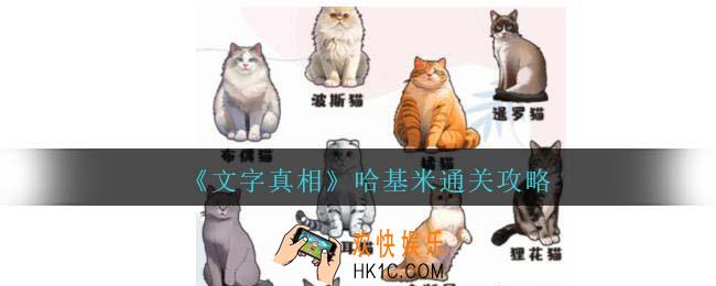 文字真相哈基米攻略