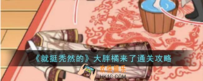 就挺秃然的大胖橘来了怎么过