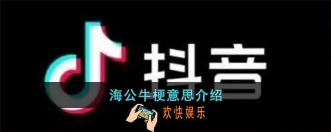 海公牛梗是什么意思