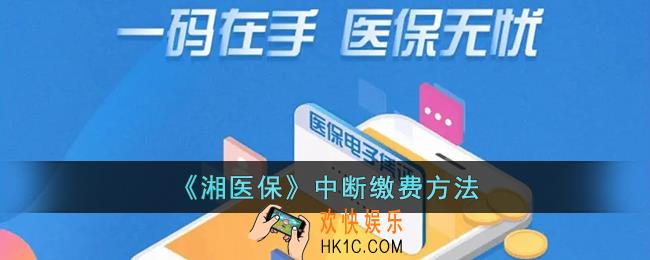 湘医保怎么停保
