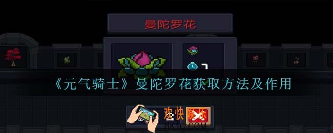 元气骑士曼陀罗花怎么获得