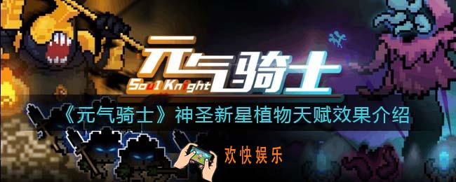 元气骑士神圣新星是什么植物
