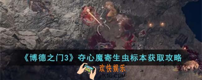 博德之门3夺心魔寄生虫标本怎么获取
