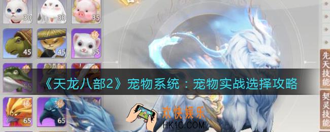 天龙八部2宠物如何选择
